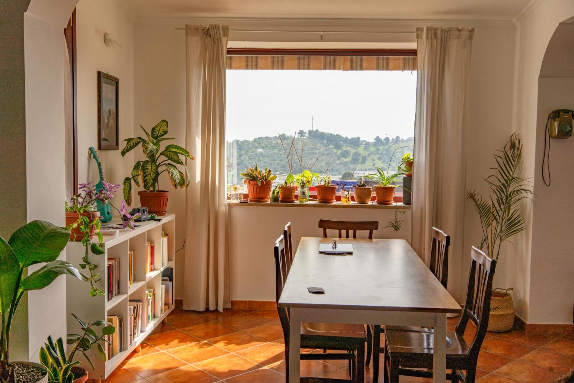 Coliving Together Gargano Vieste Exterior photo
