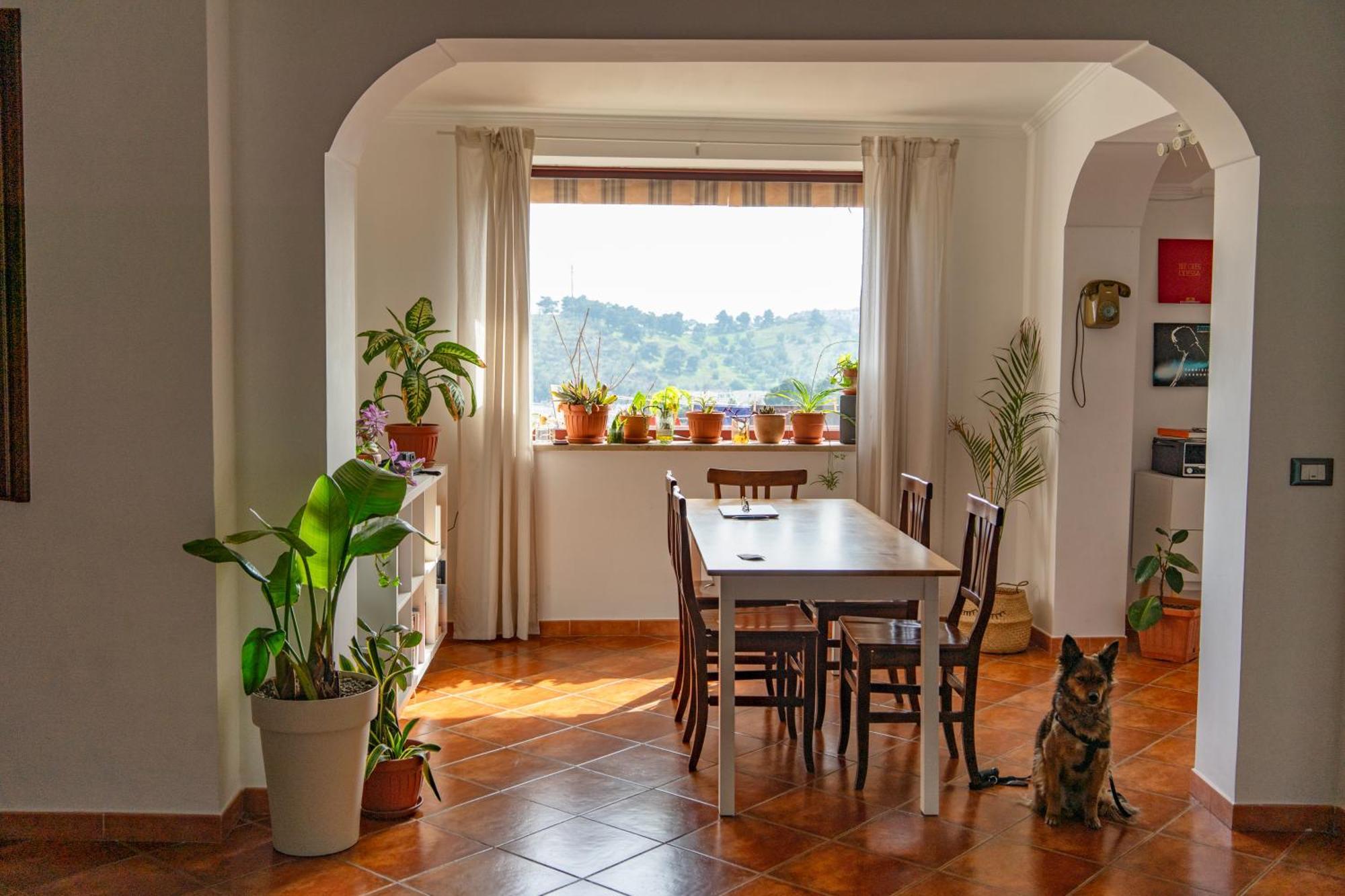 Coliving Together Gargano Vieste Exterior photo
